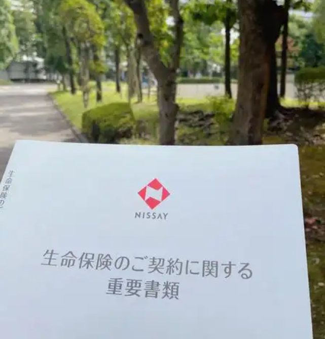 日本寿险公司对海外资产进行日元升值对冲的比