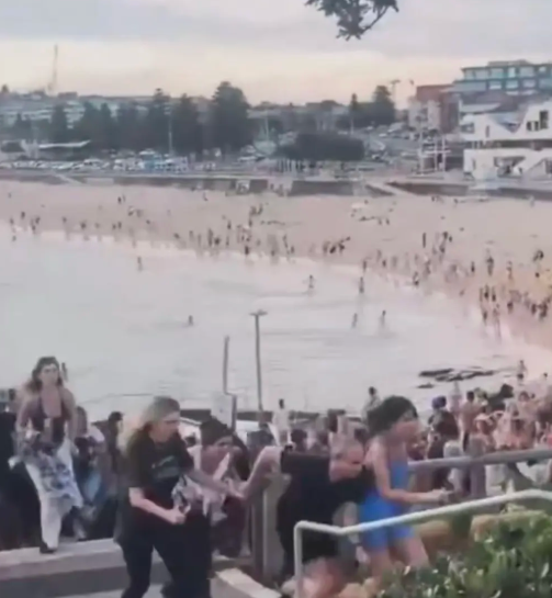 警方确认悉尼邦迪海滩枪击案中10人死亡 包括一